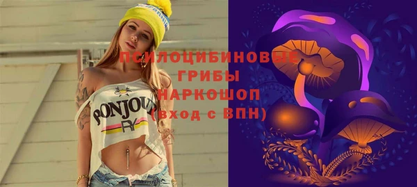 марки lsd Богородицк