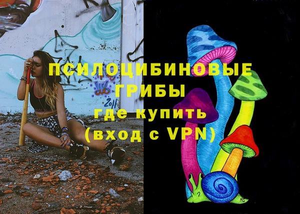 марки lsd Богородицк